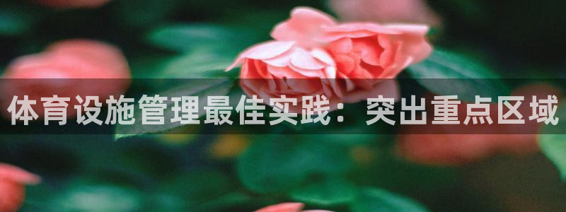 必一体育黑平台：体育