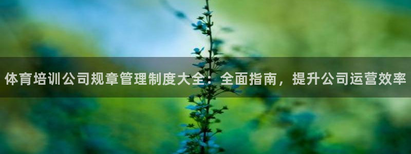 必一体育官方app下
