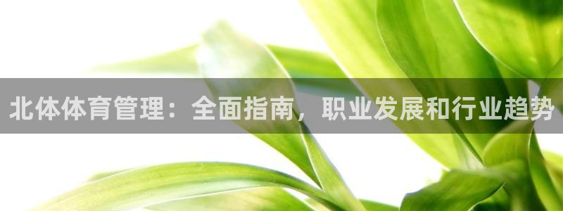 必一体育是哪里的台子
