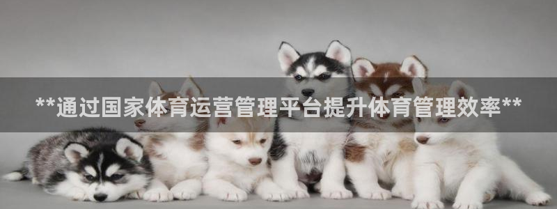 必一运动官网入口：*