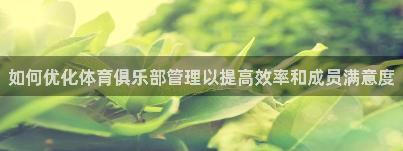 必一体育在哪下：如何