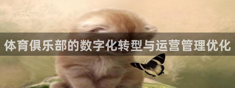 必一体育旧版：体育俱