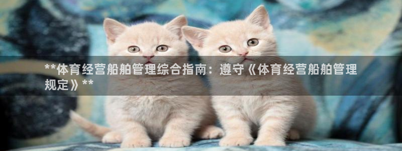 必一体育app官方下载：**体育经营船舶管理综合指南：遵守《