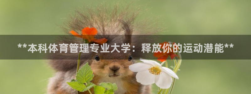必一运动sport爱