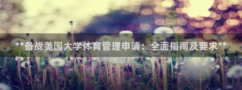 必一体育sport下