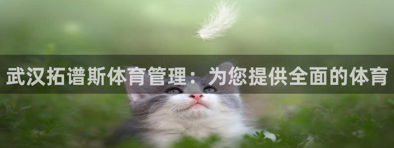 必一运动sport网页版：武汉拓谱斯体育管理：为您提供全面的