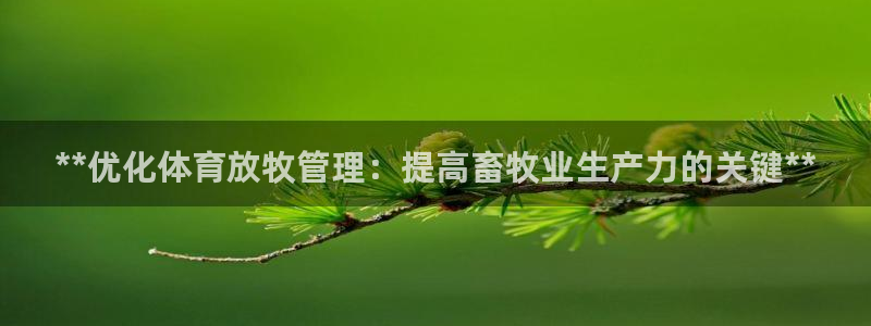 必一体育黑平台：**