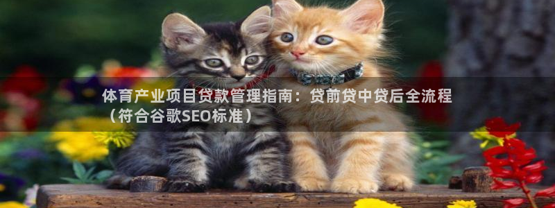 必一运动官网登录入口