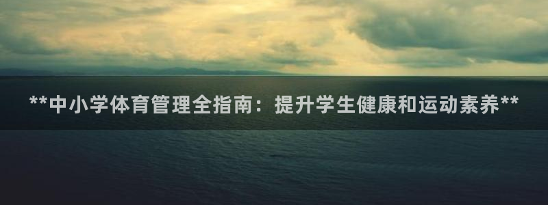 必一体育sport：