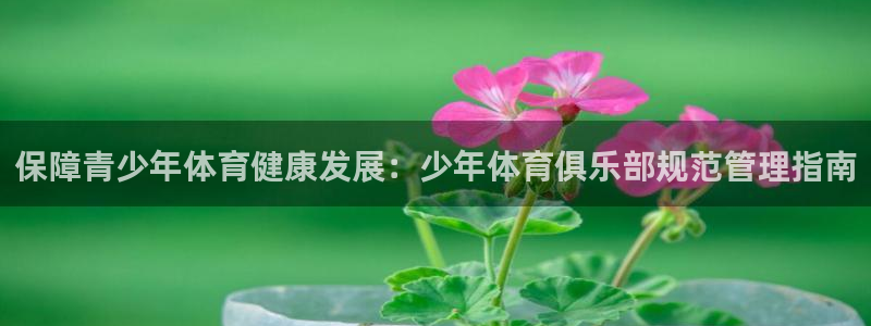 必一运动sport爱