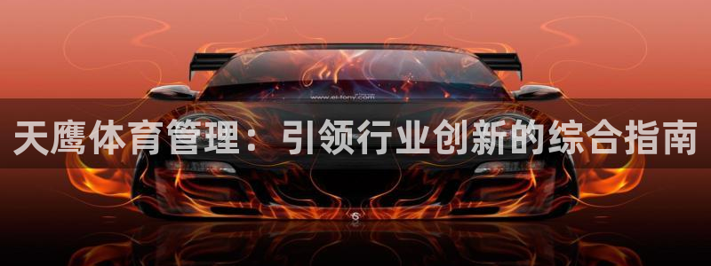 必一体育在线玩：天鹰