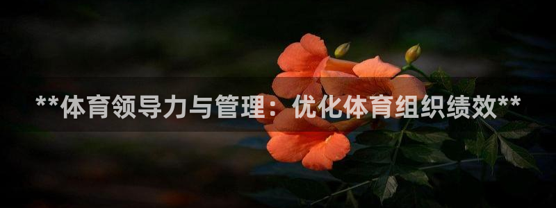 b体育必一运动网页版