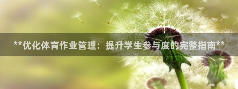 必一体育sport网