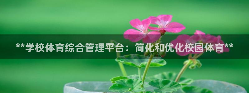必一体育全站在线登录