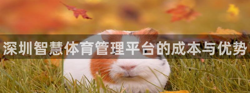 必一体育sport：