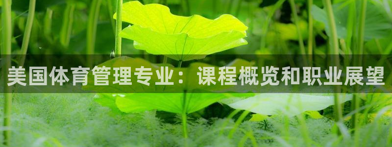 必一体育登入：美国体