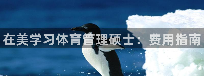 必一体育sport装