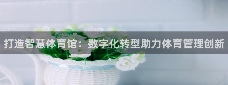 必一运动·(b-sports)官方网站：打造智慧体育馆：数字