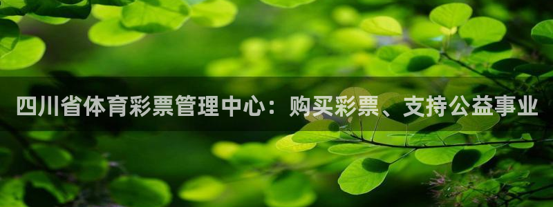 必一体育app平台下