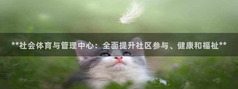 必一运动体育官网下载