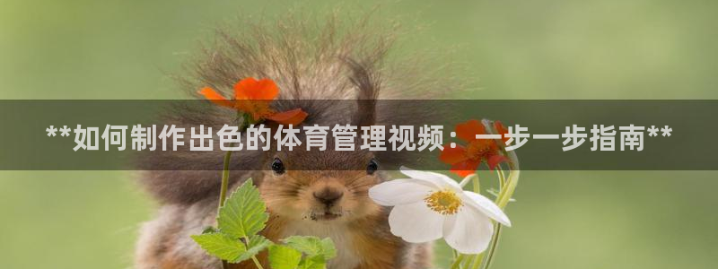 必一体育APP：**