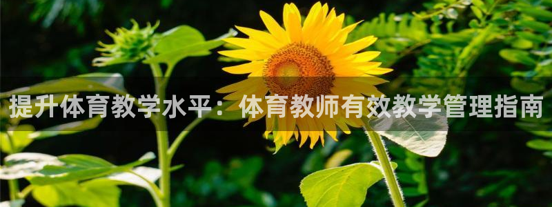 必一体育在线登陆：提