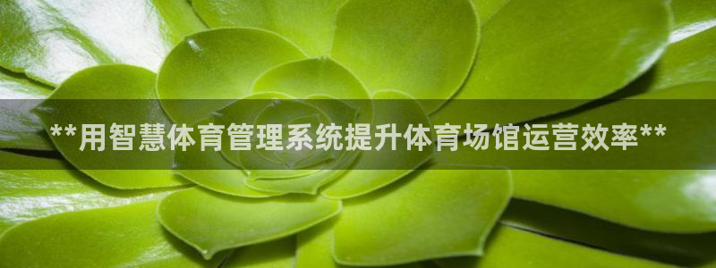 必一体育运动下载：*