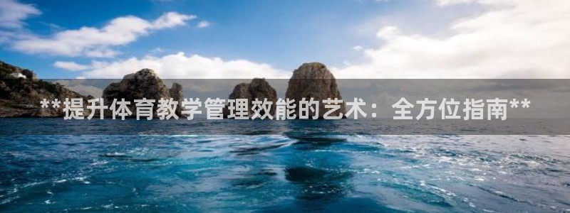 必一体育sport装