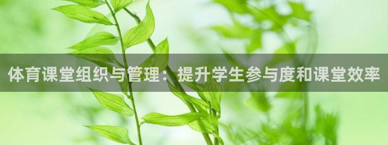 必一体育网站：体育课