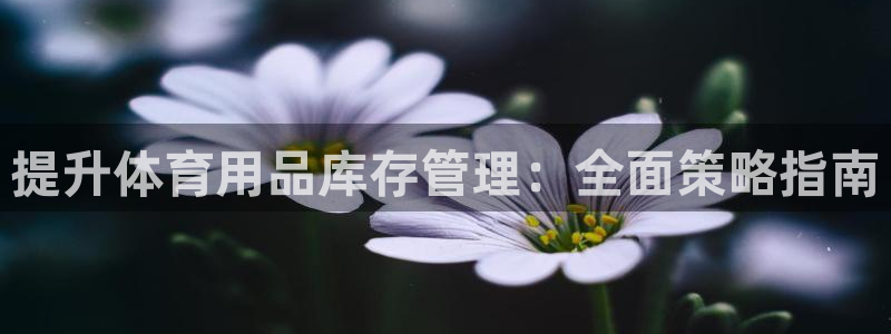 必一体育网页：提升体