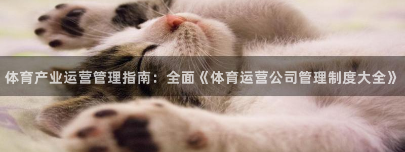 必一体育在线玩：体育