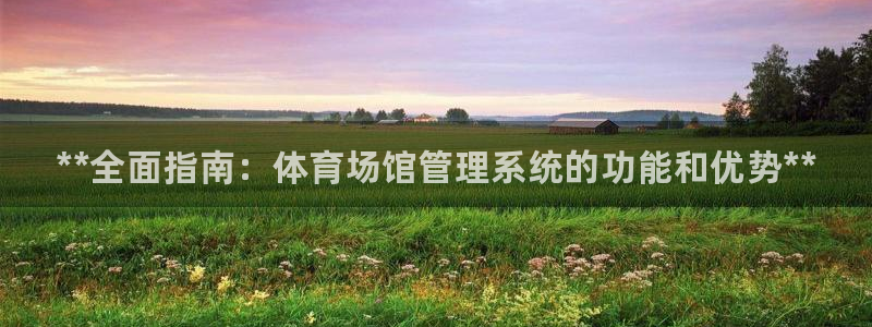 必一体育运动官网：**全面指南：体育场馆管理系统的功能和优势