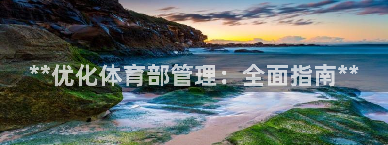 必一体育下载意思：**优化体育部管理：全面指南**