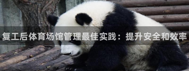 必一体育服下载最新版