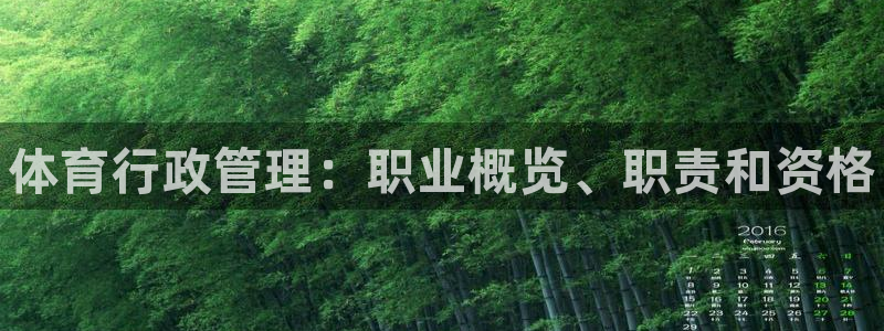 必一体育运动下载：体育行政管理：职业概览、职责和资格