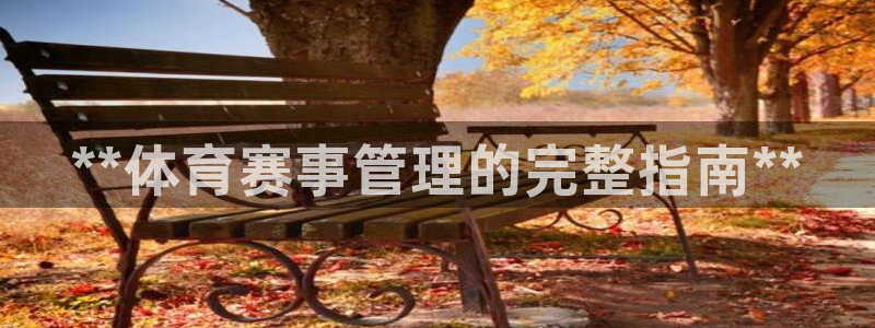 必一体育游戏玩法：*