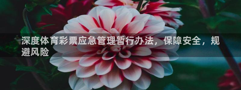 必一体育app下载安