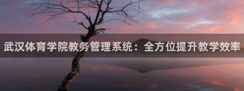 必一体育在线官网：武