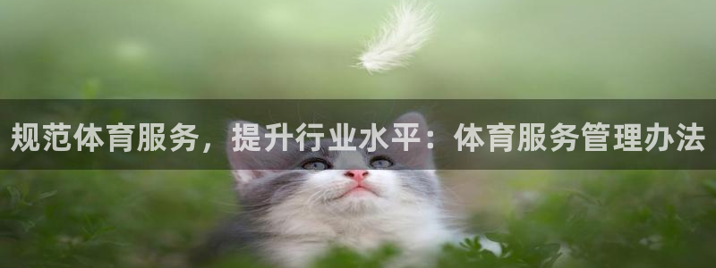 必一体育在线玩：规范体育服务，提升行业水平：体育服务管理办法