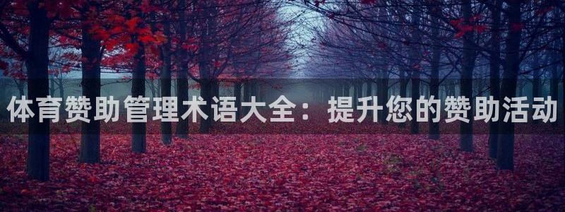 必一运动sport爱