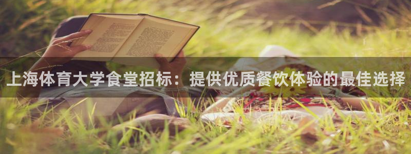 必一体育官网入口：上