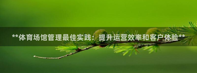 必一体育网页：**体