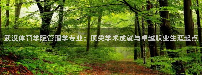 必一运动体：武汉体育