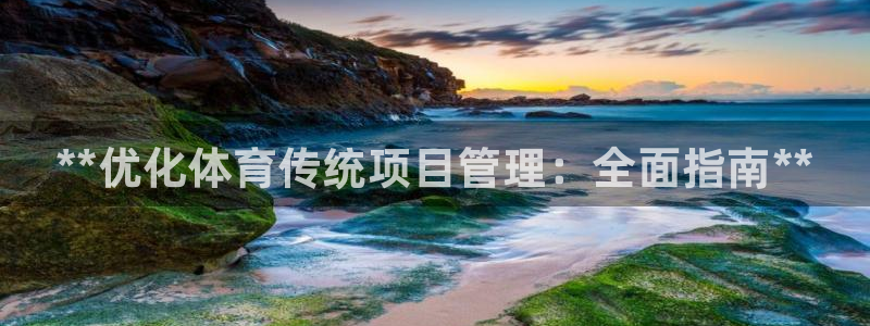 必一体育网页登录版官网：**优化体育传统项目管理：全面指南*