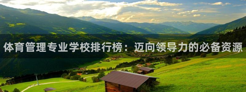 必一体育最新官网入口