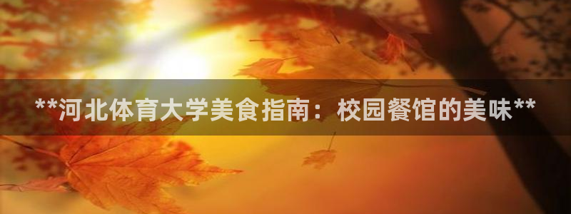 必一体育全站在线登录