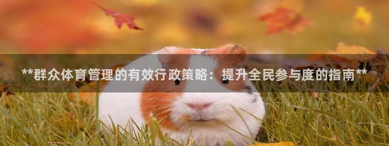 必一体育官方网站入口