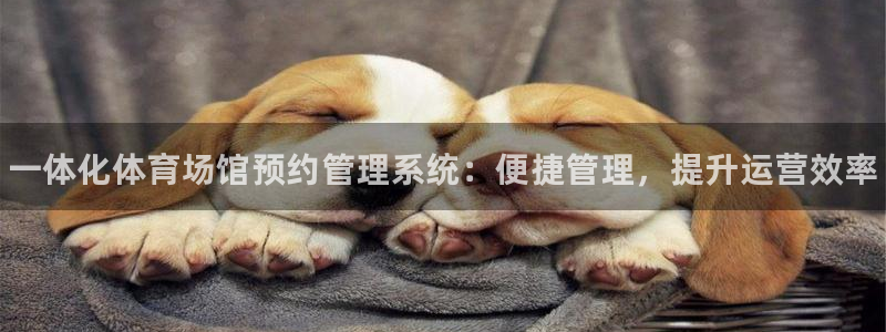 必一体育在线登陆：一