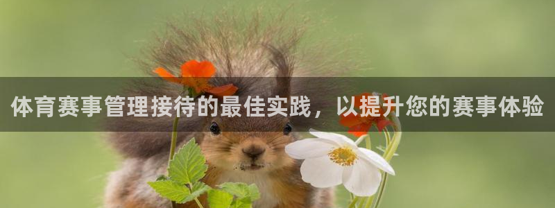 必一体育app官方下