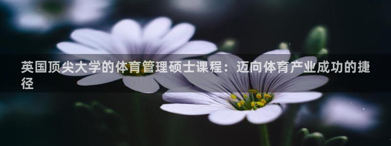 必一体育在线官网：英